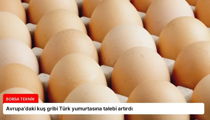 Avrupa’daki kuş gribi Türk yumurtasına talebi artırdı