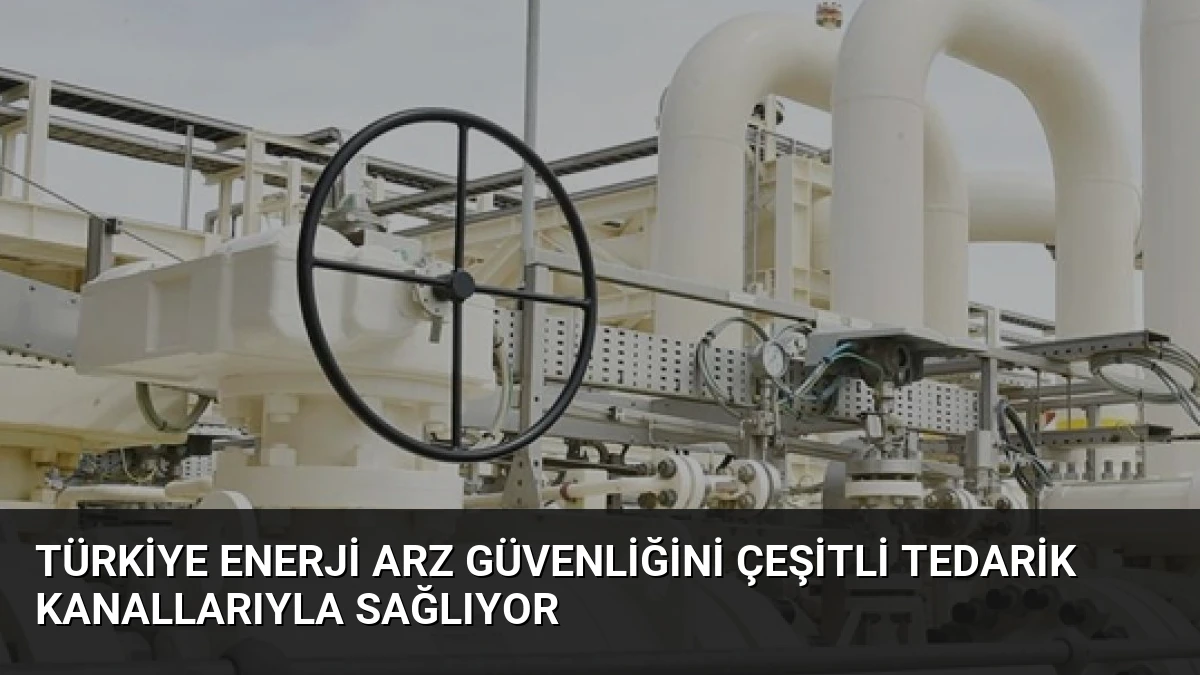 Türkiye Enerji Arz Güvenliğini Çeşitli Tedarik Kanallarıyla Sağlıyor