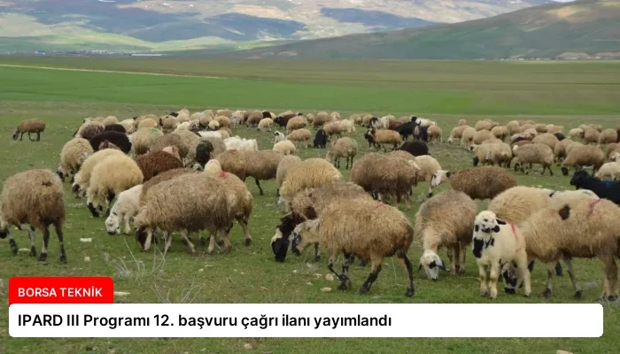 IPARD III Programı 12. başvuru çağrı ilanı yayımlandı