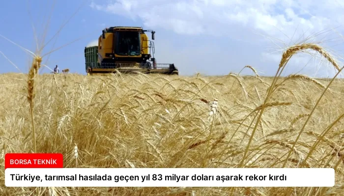 Türkiye, tarımsal hasılada geçen yıl 83 milyar doları aşarak rekor kırdı