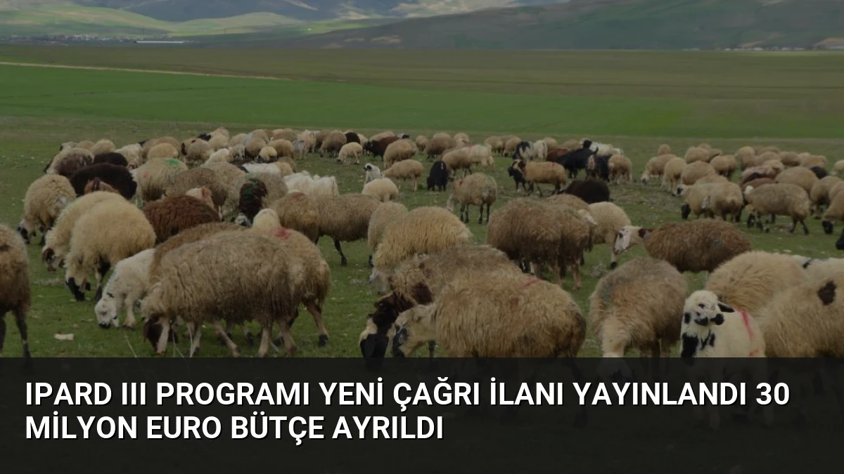 IPARD III Programı Yeni Çağrı İlanı Yayınlandı 30 Milyon Euro Bütçe Ayrıldı
