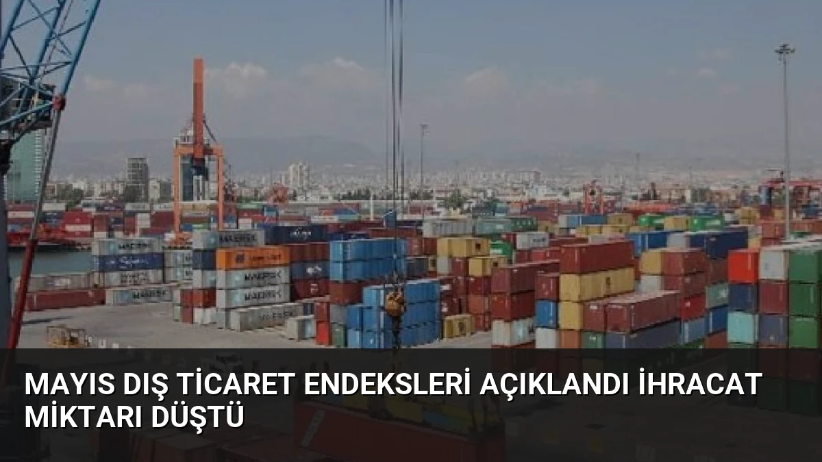 Mayıs Dış Ticaret Endeksleri Açıklandı İhracat Miktarı Düştü
