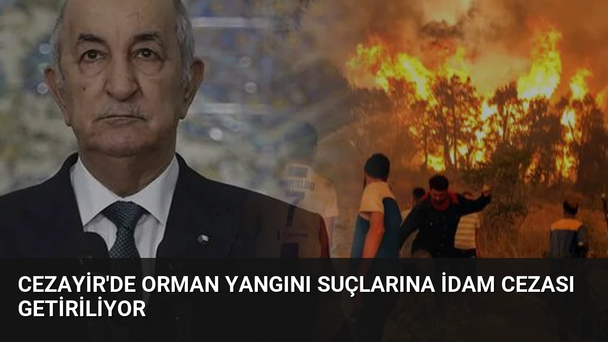 Cezayir’de Orman Yangını Suçlarına İdam Cezası Getiriliyor