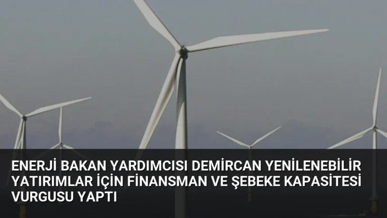 Enerji Bakan Yardımcısı Demircan Yenilenebilir Yatırımlar İçin Finansman ve Şebeke Kapasitesi Vurgusu Yaptı