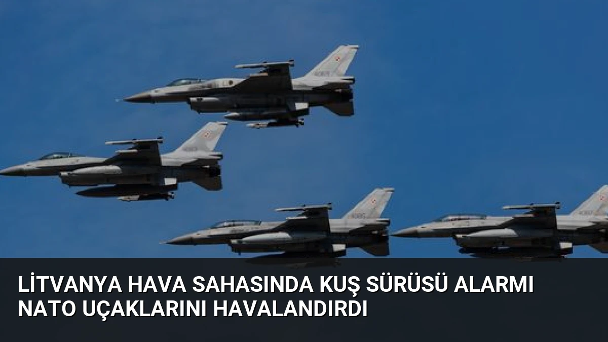Litvanya Hava Sahasında Kuş Sürüsü Alarmı NATO Uçaklarını Havalandırdı