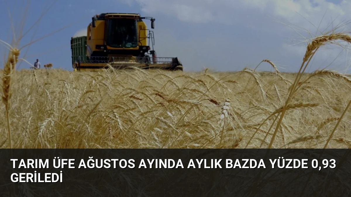 Tarım ÜFE Ağustos Ayında Aylık Bazda Yüzde 0,93 Geriledi