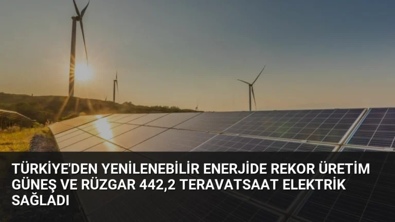 Türkiye’den Yenilenebilir Enerjide Rekor Üretim Güneş ve Rüzgar 442,2 Teravatsaat Elektrik Sağladı