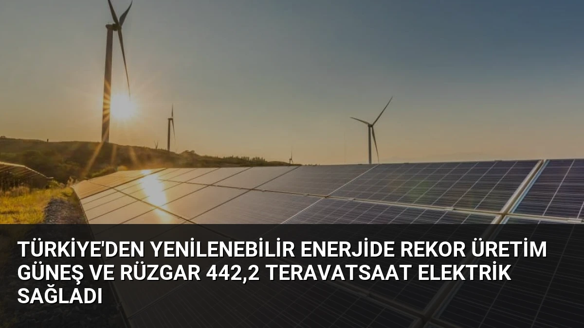 Türkiye’den Yenilenebilir Enerjide Rekor Üretim Güneş ve Rüzgar 442,2 Teravatsaat Elektrik Sağladı