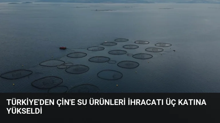 Türkiye’den Çin’e Su Ürünleri İhracatı Üç Katına Yükseldi